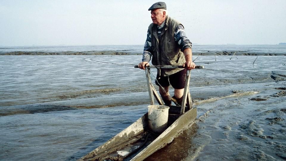 ostfriesland-sieben-inseln-und-ein-meer